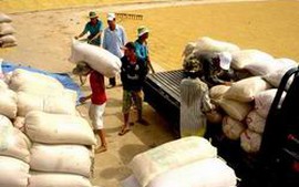 Hướng dẫn hỗ trợ lãi suất vay mua thóc, gạo tạm trữ vụ Đông Xuân